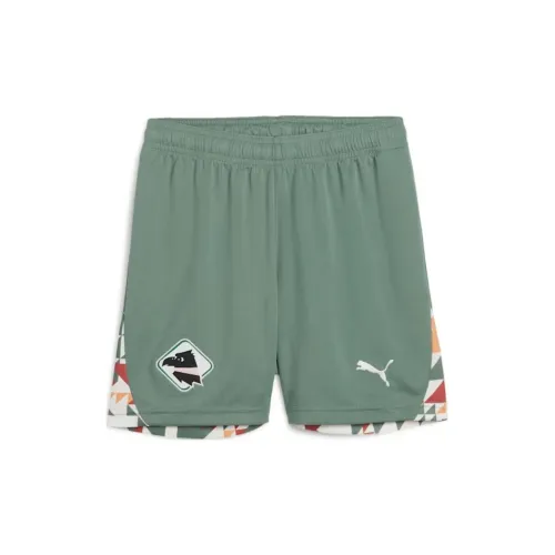 PUMA PalermoDRYCELL FW24 F.C. 24 25 Третьи Шорты Юность Шорты Подростки Теплый Белый Эвкалипт