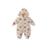 Абрикос, основа, медвежонок