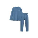 Серо-голубой 80235