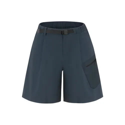 DESCENTE BLEU IB Черница Женские Спортивные Шорты