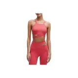 Красный (Пустыня Красный)