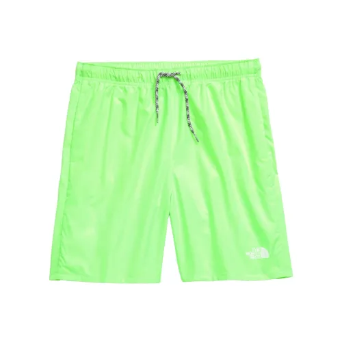 THE NORTH FACE NEVER STOP Шорты Подростки Safe And Green