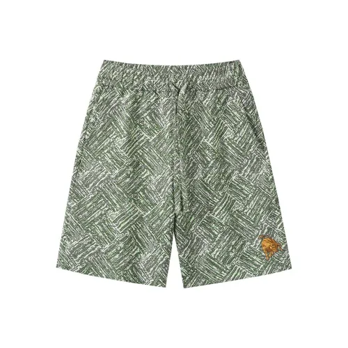 AUTOMOBILI LAMBORGHINI Повседневные шорты Унисекс