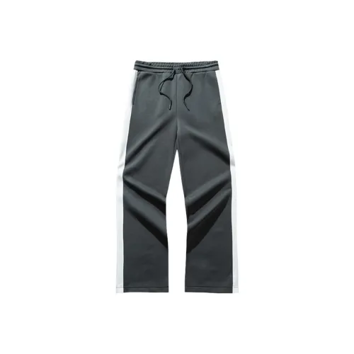 CHAOJIANTA Спортивные брюки Женские Mystic Cabin Серый