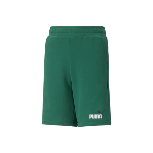 PUMA Короткий Essentials+ Два Тон Enfant ET Adolescent Kids Шорты Детский Лоза Зеленый