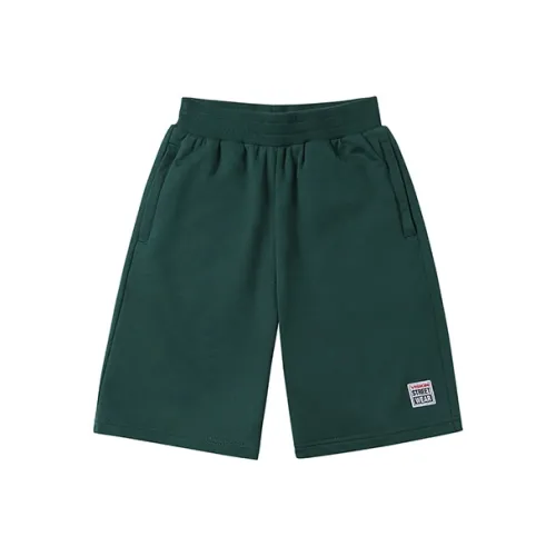 Vision Street Wear KIDS Шорты Детский Jasper