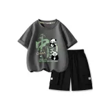 DAN15373 Серый + NDX0 Черный