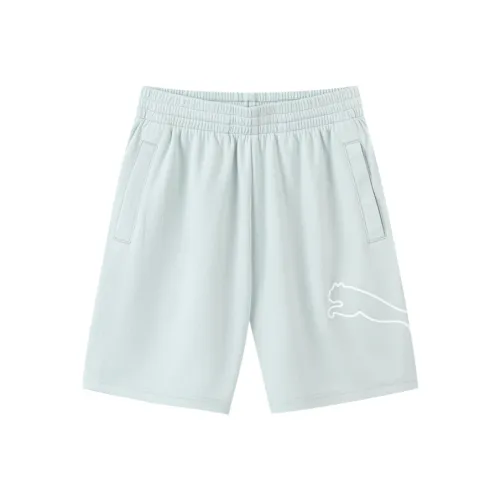 PUMA Sportstyle Series Светло-серый 20001 Унисекс Короткий