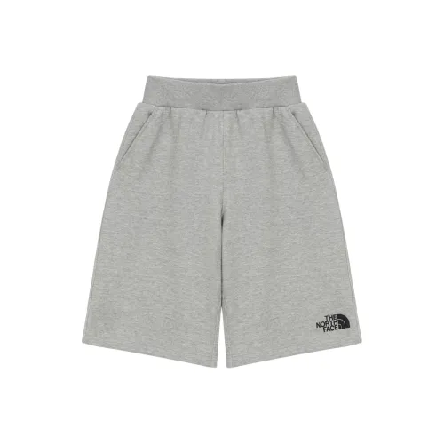 The North Face THE NORTH FACE Apparel Collection Шорты Детские Серые