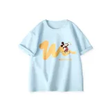 Дикки Знак Змеи Небесно-голубой