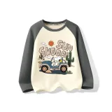 Пустыня Путешествие/Серый [100% хлопок, весна-осень, тонкий]