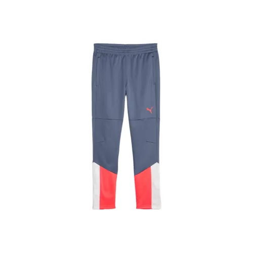 PUMA Тренировочные штаны DE Foot IndividualCUP Junior Вязаные тренировочные штаны Детские Синие