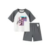 Комплект (Серый Серый 00312)