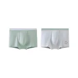 Шалфей Зеленый 40001