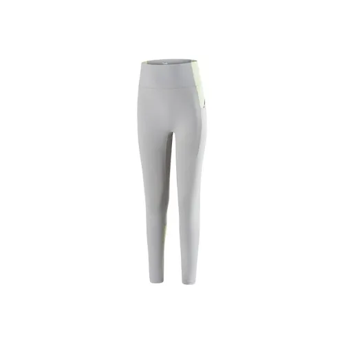 Antakids Леггинсы Подростки Col Ash