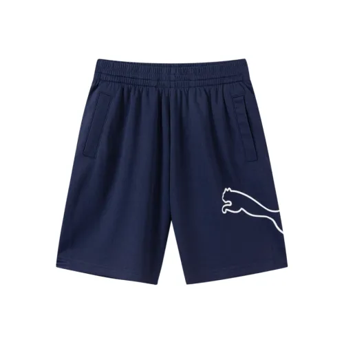 PUMA Sportstyle Series Темно-синий 80802 Унисекс Короткий