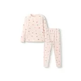 Красный цвет 00366