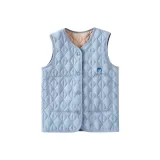 Пыльно-голубой