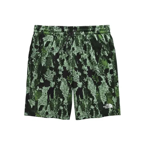 THE NORTH FACE NEVER STOP Повседневные штаны для подростков тонкие туманный шалфей камуфляж