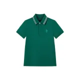 Сосновый зеленый