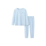 Ледяной синий 80901