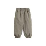 Тростник серо-зеленый