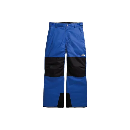 THE NORTH FACE Freedom Insulated Брюки Синие Подростки