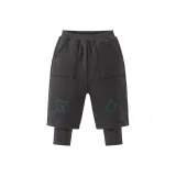 Железно-серый 20603