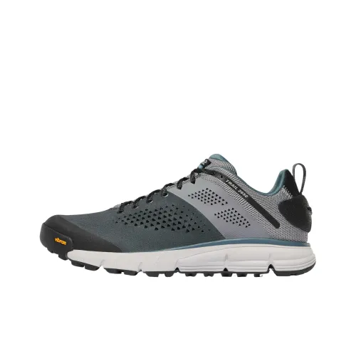 Danner Trail 2650 Low Топ Уличная обувь Мужская Серый Синий