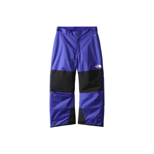 THE NORTH FACE Брюки Синие Детские