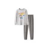 Gray Green (Одиночный Комплект Одежды)