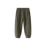 Морская сосна зеленая