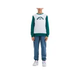 Циан Кирпич