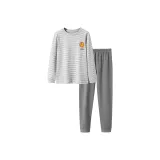 Gray Green (Одиночный Комплект Одежды)