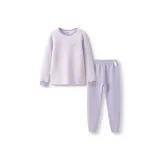 Фиолетовый Тон 00377