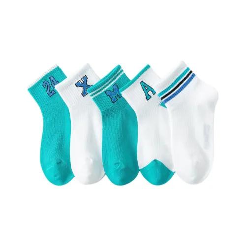 BIG WASP Носки 5 пар озерно-голубой детские