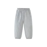 Светло-пшеничный серый 00205