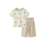 Светло-верблюжий 50001