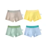 Дальний Небесный Лазурь + Абрикос + Фрукт Зеленый + Желтый (4 упаковки)