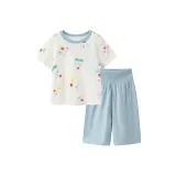 Gray Blue A81301  
Серый Синий A81301