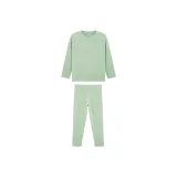 Светло-зеленый