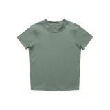 Серый Зеленый