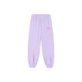 Светло-фиолетовый