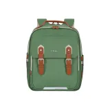 Цвет зеленого авокадо