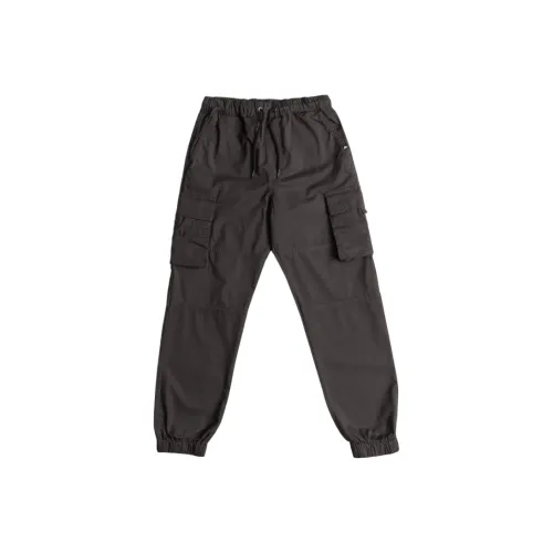 Quiksilver Серые Брюки с карманами для школьников