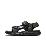 Чёрно-зеленый