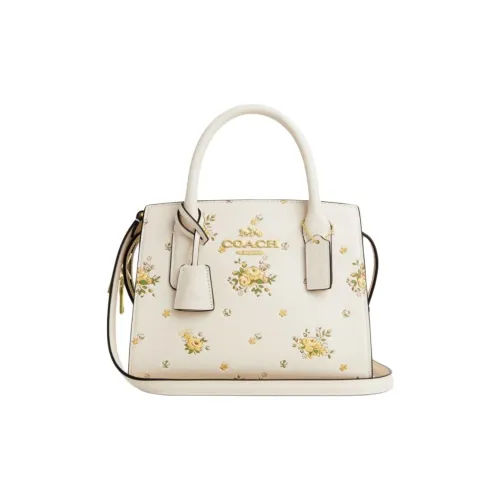 COACH ANDREA CARRYALL Телячья кожа Тоут Сумка Сумка для покупок Сумка на плечо Сумка Маленькая Женская Бежевая