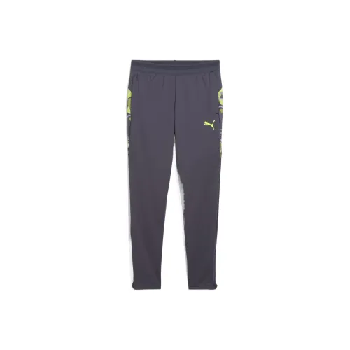 PUMA Брюки IndividualCUPDRYCELL Galaxy Gray Дети 3-7 лет