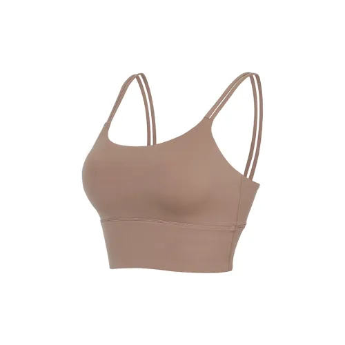 BEBE Женские бюстгальтеры