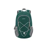 Темно-зеленый